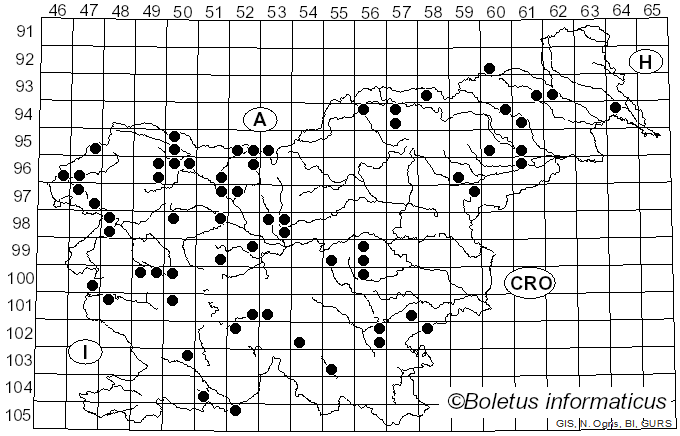 <i>Hymenoscyphus</i> Gray (1821)