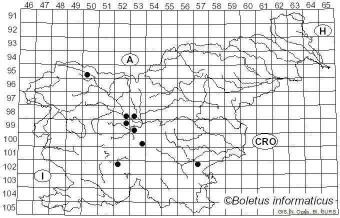 <i>Russula pseudodelica</i> J.E. Lange (1926)