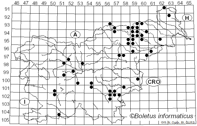 <i>Scleroderma cepa</i> Pers. (1801)