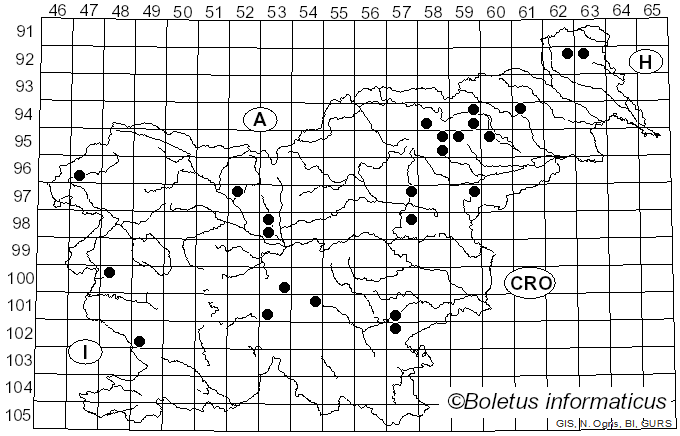 <i>Tricholoma luridum</i> (Schaeff.) P. Kumm. (1871)