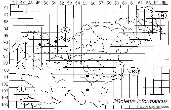 <i>Crepidotus cesatii</i> var. <i>subsphaerosporus</i> (J.E. Lange) Senn-Irlet (1995)
