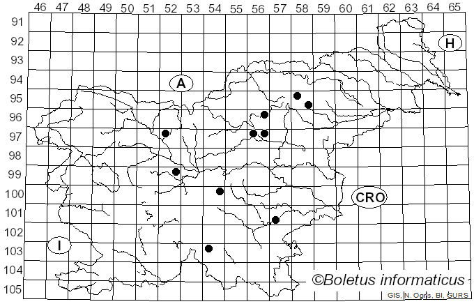 <i>Inocybe griseolilacina</i> J.E. Lange (1917)