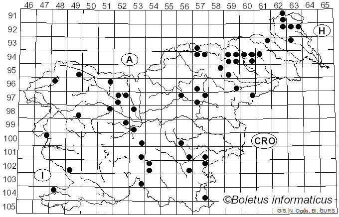 <i>Hydnellum ferrugineum</i> (Fr.) P. Karst. (1880)