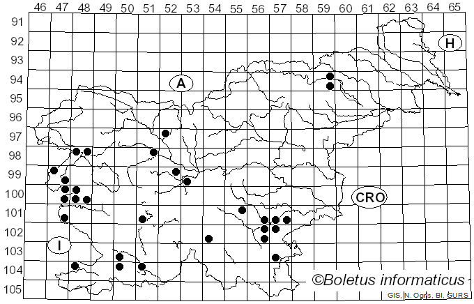 <i>Calonarius arcuatorum</i> (Rob. Henry) Niskanen & Liimat. (2022)