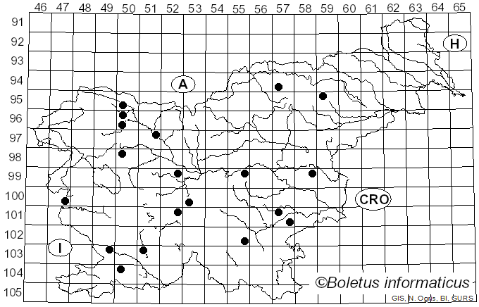 <i>Mollisia cinerea</i> (Batsch) P. Karst. (1871)