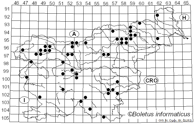 <i>Russula nauseosa</i> (Pers.) Fr. (1838)