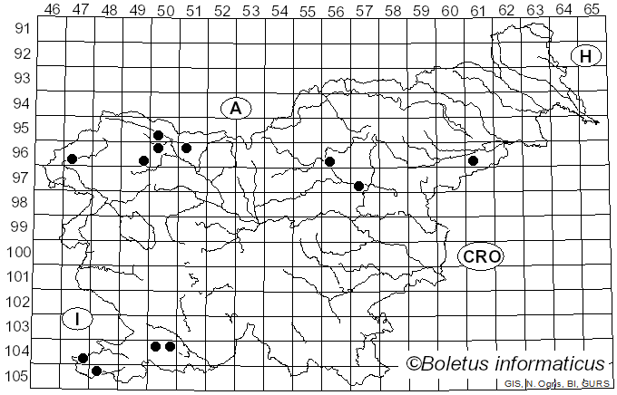 <i>Deconica</i> (W.G. Sm.) P. Karst. (1879)