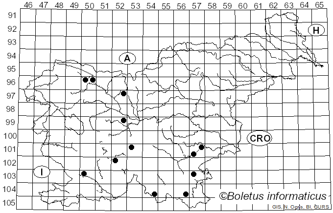 <i>Pseudoinonotus</i> T. Wagner & M. Fisch. (2001)