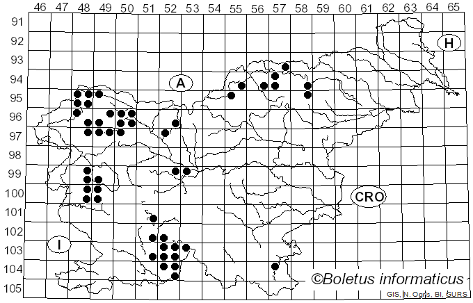 <i>Hypogymnia physodes</i> (L.) Nyl. (1896)