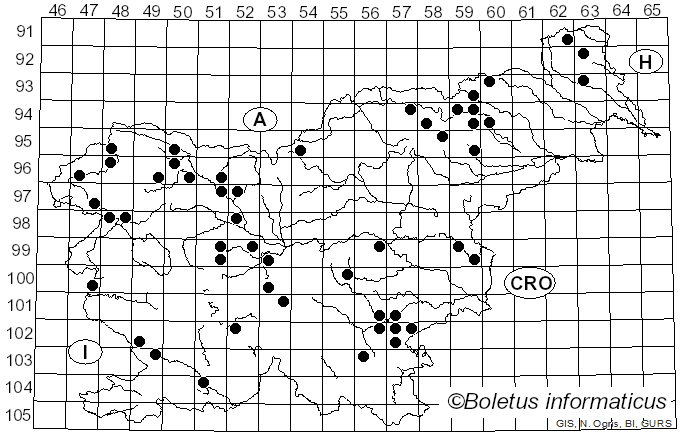 <i>Antrodia</i> P. Karst. (1879)
