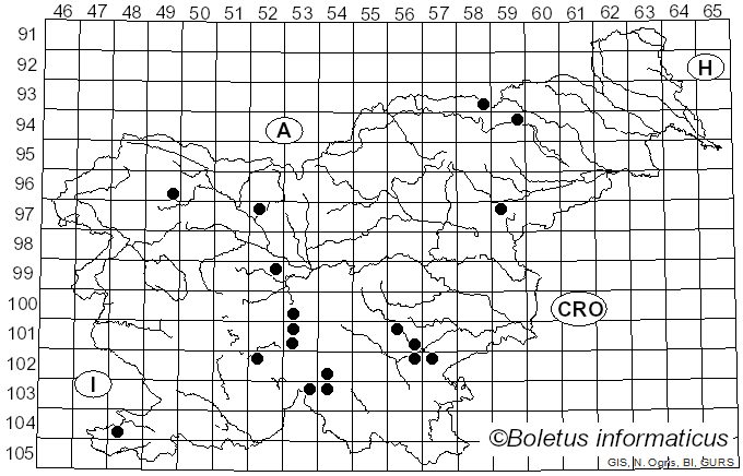 <i>Cortinarius caesiocanescens</i> M.M. Moser (1952)