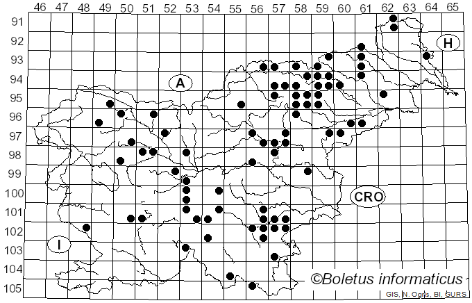 <i>Russula badia</i> Quél. (1880)