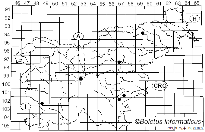 <i>Tephrocybe palustris</i> (Peck) Donk (1962)