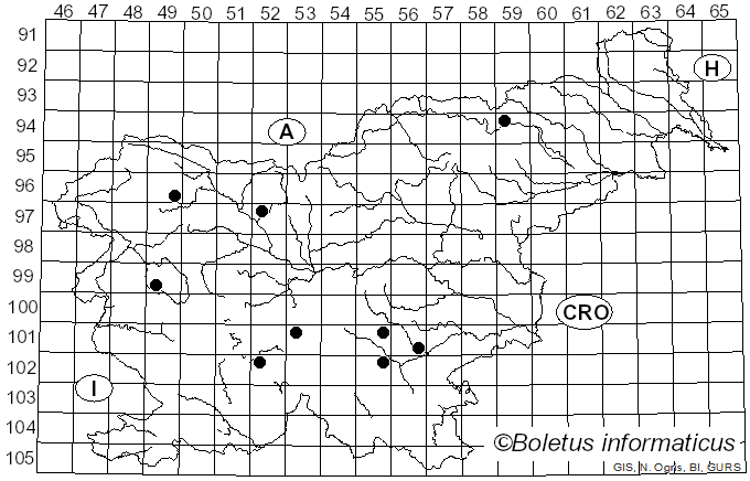 <i>Cortinarius calochrous</i> var. <i>coniferarum</i> (M.M. Moser) Quadr. (1985)