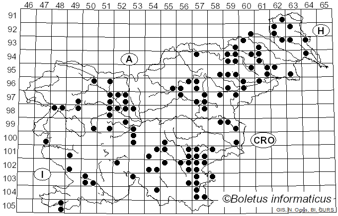 <i>Fomitiporia robusta</i> (P. Karst.) Fiasson & Niemelä (1984)