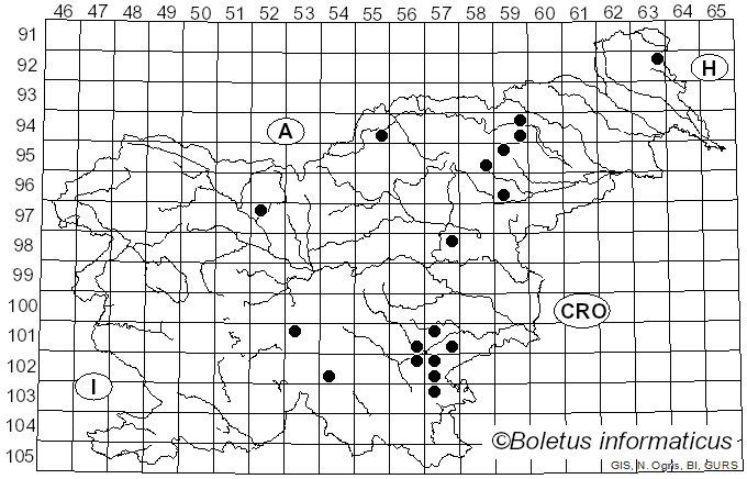 <i>Cortinarius privignus</i> (Fr.) Fr.