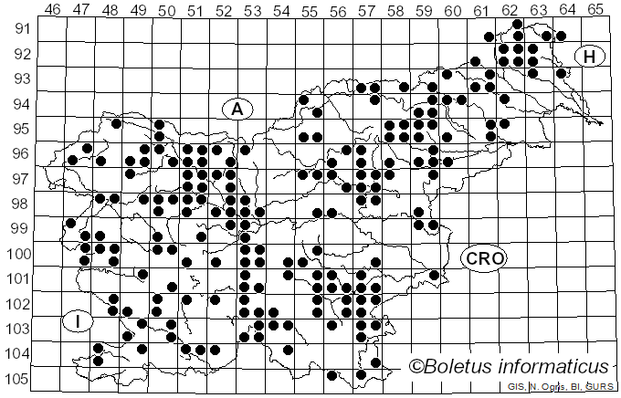 <i>Clitocybe odora</i> (Bull.) P. Kumm. (1871)