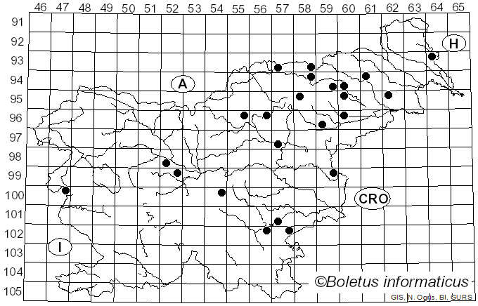 <i>Russula galochroa</i> (Fr.) Fr.
