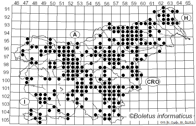 <i>Craterellus</i> Pers. (1825)
