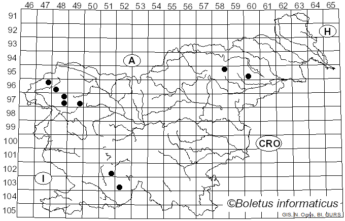 <i>Lecanora leptyrodes</i> G.B.F. Nilsson (1931)