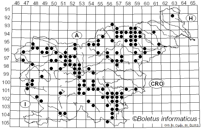 <i>Coltricia perennis</i> (L.) Murrill (1903)