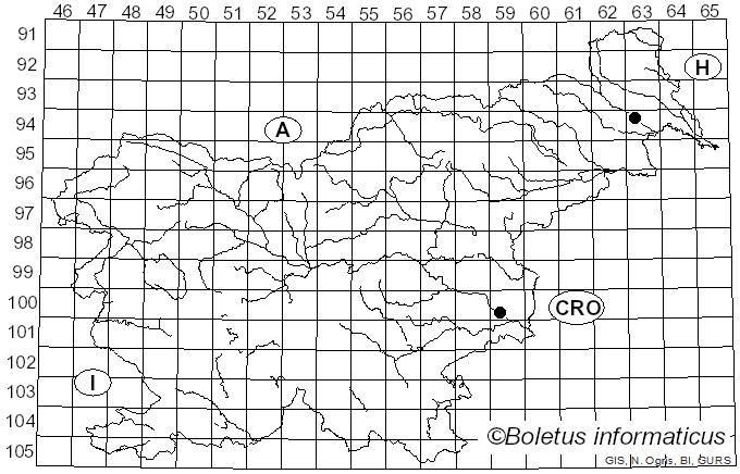 <i>Chrysomela populi</i> Linnaeus (1758)