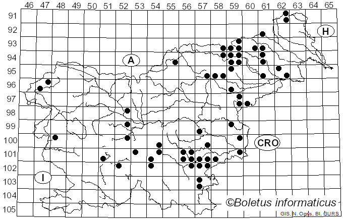 <i>Lactarius hepaticus</i> Plowr. (1905)