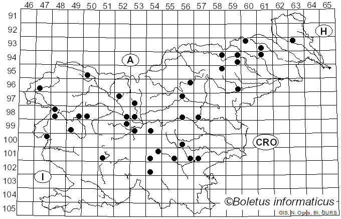 <i>Phellodon melaleucus</i> (Sw. ex Fr.) P. Karst. (1881)