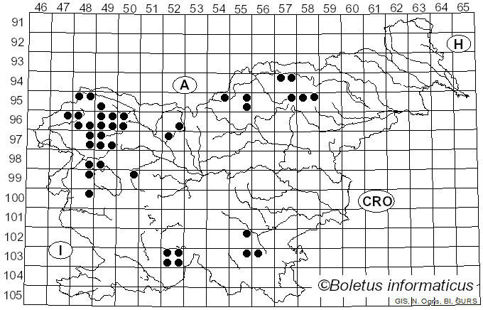 <i>Usnea subfloridana</i> Stirt. (1882)