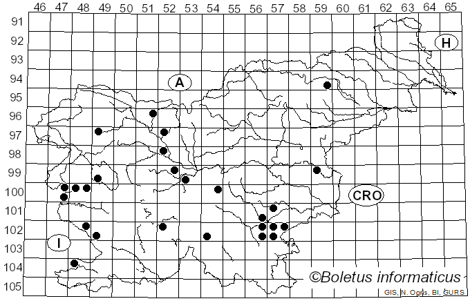 <i>Lepista panaeolus</i> (Fr.) P. Karst. (1879)