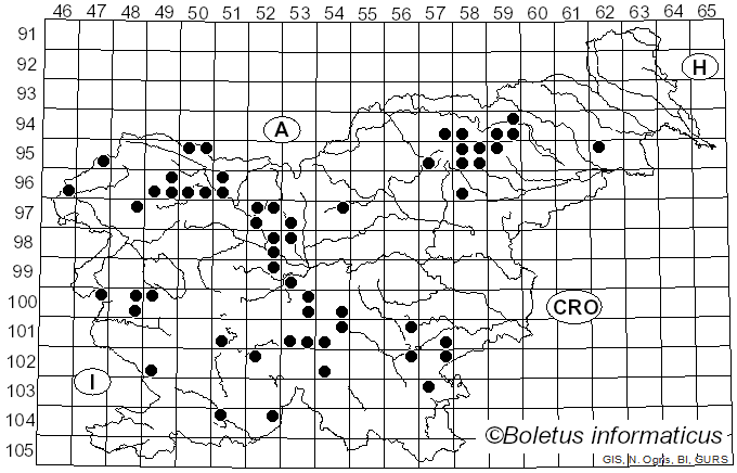 <i>Climacocystis</i> Kotl. & Pouzar (1958)