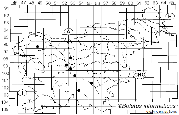 <i>Pseudosperma umbrinellum</i> (Bres.) Matheny & Esteve-Rav. (2019)