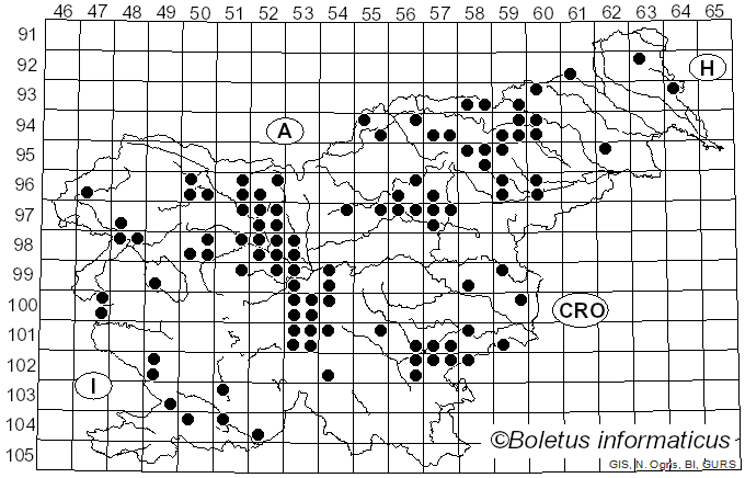 <i>Leotia lubrica</i> (Scop.) Pers. (1797)