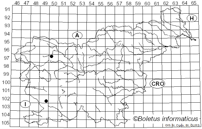 <i>Microsphaeropsis olivacea</i> (Bonord.) Höhn. (1917)