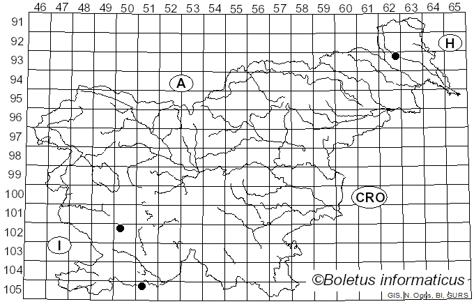 <i>Sclerophoma</i> Höhn. (1909)