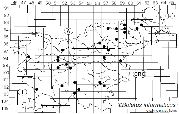 <i>Lactarius theiogalus</i>