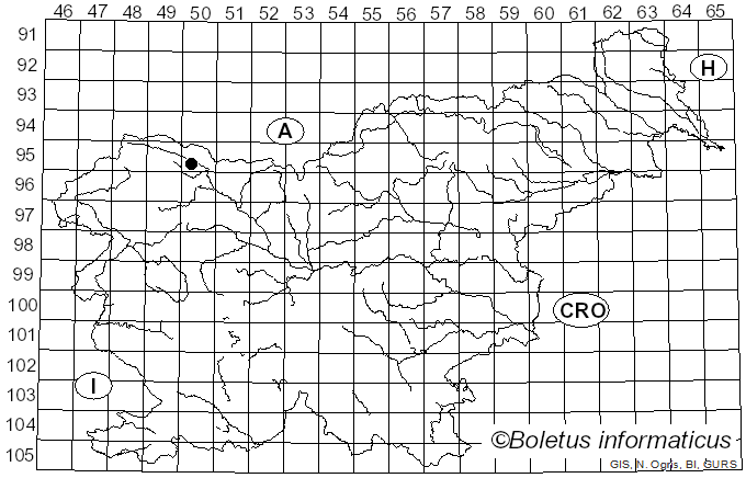 <i>Aecidium succisae</i> L.A. Kirchn. (1856)
