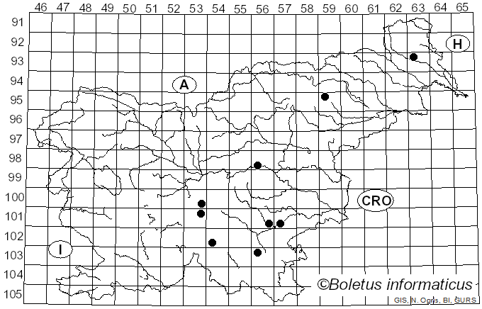 <i>Gymnopus fuscopurpureus</i> (Pers.) Antonín, Halling & Noordel. (1997)