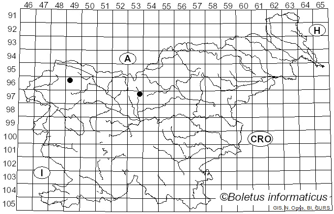 <i>Physarum nivale</i> (Meyl.) Mar. Mey. & Poulain (2011)