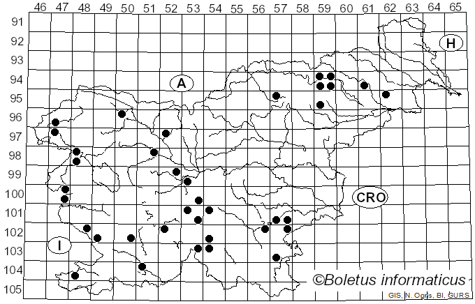 <i>Tricholoma populinum</i> J.E. Lange (1933)