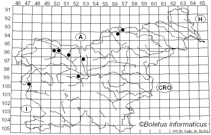 <i>Pseudomicrostroma juglandis</i> (Bérenger) Kijporn. & Aime (2017)