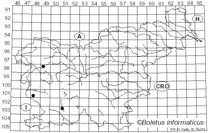 <i>Dothiorella</i> Sacc. (1880)