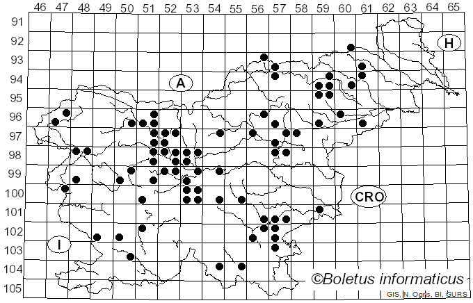 <i>Astraeus hygrometricus</i> (Pers.) Morgan (1889)
