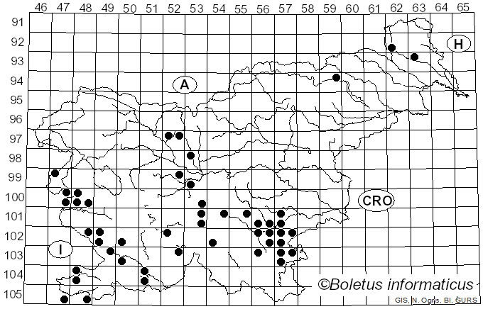 <i>Hygrophorus persoonii</i> Arnolds (1979)