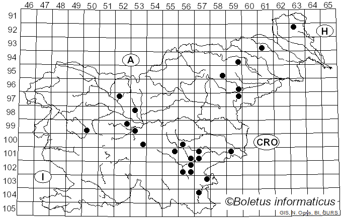 <i>Marasmius prasiosmus</i> (Fr.) Fr. (1838)