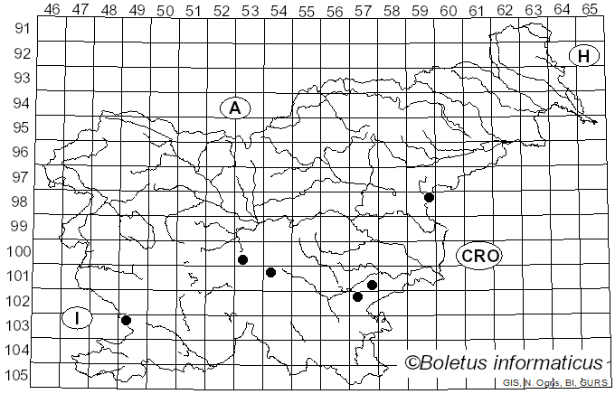 <i>Xylobolus subpileatus</i> (Berk. & M.A. Curtis) Boidin (1958)