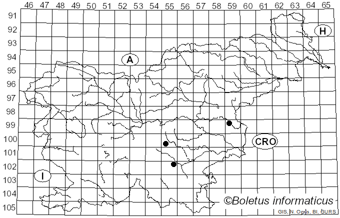 <i>Entoloma dichroum</i> (Pers.) P. Kumm. (1871)