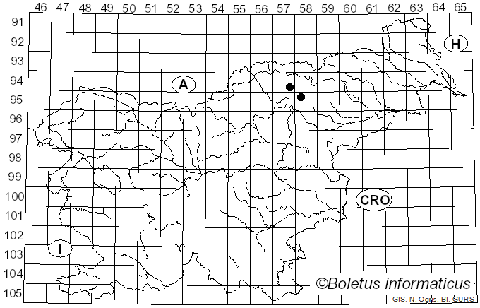 <i>Inocybe obscurobadia</i> (J. Favre) Grund & D.E. Stuntz (1977)