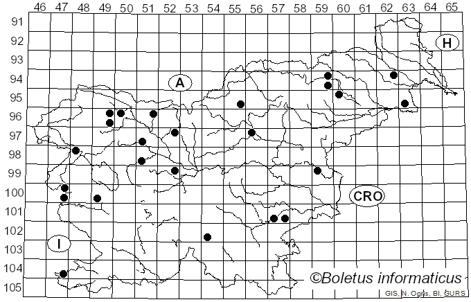 <i>Panaeolina</i> Maire (1933)