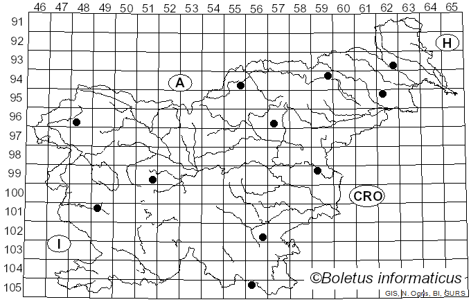 <i>Lepiota oreadiformis</i> Velen. (1920)